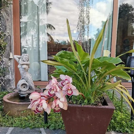 Hébergement de vacances Vistas Al Teide Con Jacuzzi, Wifi Y Tv Satélite