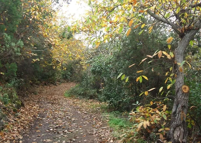 Vistas Al Teide Con Jacuzzi, Wifi Y Tv Satelite