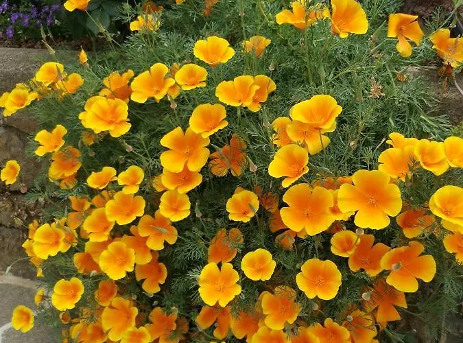 Prázdninový dům Vistas Al Teide Con Jacuzzi, Wifi Y Tv Satelite *