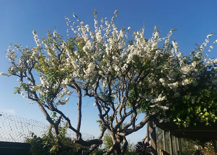 Vistas Al Teide Con Jacuzzi, Wifi Y Tv Satelite Дом отдыха *