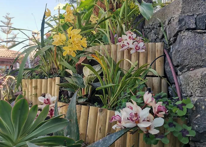 Vistas Al Teide Con Jacuzzi, Wifi Y Tv Satelite Дом отдыха