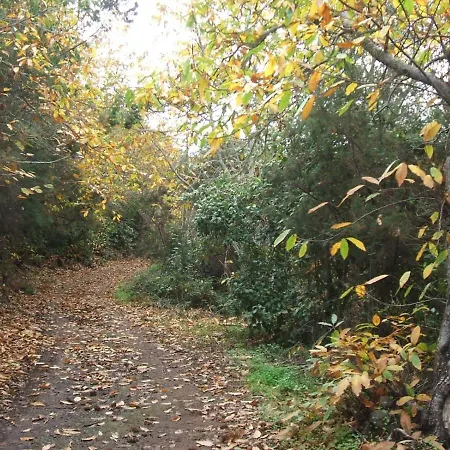 Vistas Al Teide Con Jacuzzi, Wifi Y Tv Satelite