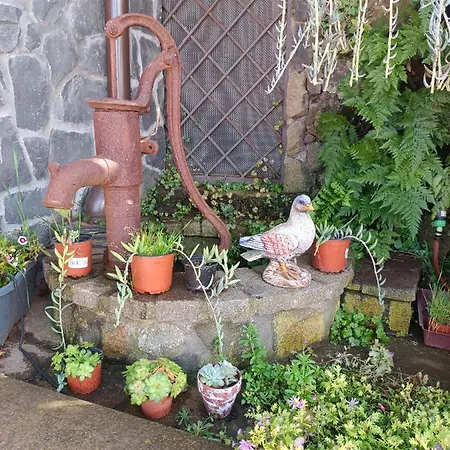 Vistas Al Teide Con Jacuzzi, Wifi Y Tv Satelite *