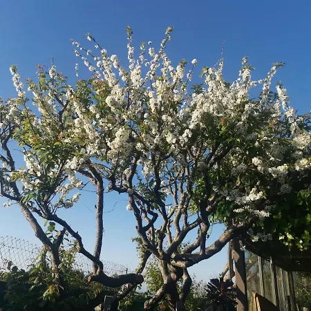 Vistas Al Teide Con Jacuzzi, Wifi Y Tv Satelite Дом отдыха *